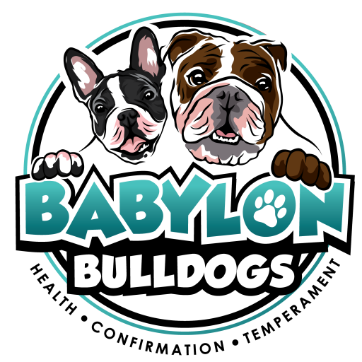 Babylon Bulldogs